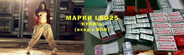 мяу мяу мука Верея