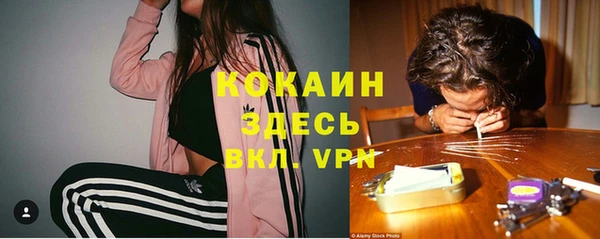 гашик Володарск